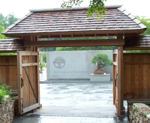 National Bonsai and Penjing Museum.jpg